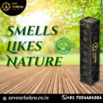 Holy Kailash Mansarovar, incense stick, agarbatti, dhoop batti , with stand, fragrance , Holder Included, Burns upto 120 minutes