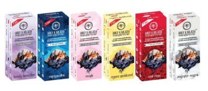 Holy Kailash Mansarovar, incense stick, agarbatti, dhoop batti , with stand, fragrance , Holder Included, Burns upto 120 minutes